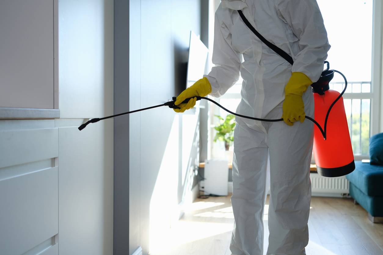 Comment désinfecter sa maison à Marseille